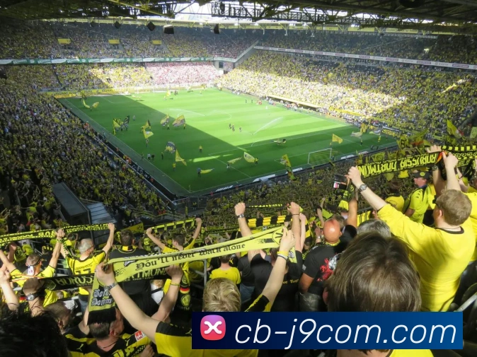 九游会官网APP 高清赛事图